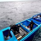 Se indaga si los apresados son oriundos de puertos peninsulares.