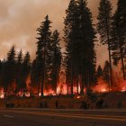 Tehama (EE.UU.). Los árboles arden en el incendio en un parque, que ha quemado más de 353.194 acres según el Departamento de Silvicultura y Protección contra Incendios de California.