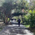 Un juez negó la acción de protección que interpusieron el rector y vicerrectores de la Universidad Central del Ecuador.