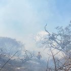 30 bomberos llegaron al lugar para sofocar el incendio forestal.