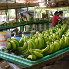Hasta junio, el país asiático fue el quinto mercado de destino más importante.