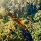 Uno de los ríos que se adentran en la amazonía ecuatoriana.