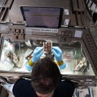 Astronautas realizando experimentos con chips musculares.