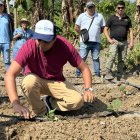Producción. Kopia brinda asistencia técnica, capacitación y semillas a los productores. El camote, a diferencia de otros cultivos, no requiere de tanta agua.