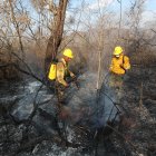 Los incendios forestales se han vuelto recurrentes en esta parte del continente