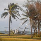 Archivo. Florida tras el paso de un huracán