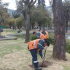 En total se intervendrá en 11.956 metros cuadrados del parque La Alameda.