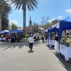 Escenario. En la ciudad existe un árbol por cada 33 personas, cuando lo ideal es un árbol por cada tres personas, reconocen las autoridades locales.