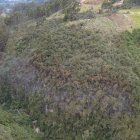 Al menos cuatro hectáreas de bosque junto al sector El Salado - Sinincay fueron afectadas por las llamas.
