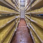 Producción. Una foto referencial de la elaboración de quesos maduros en Ecuador.