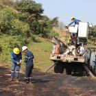 Este reptil causó un efecto dominó en la zona.