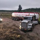 Los vehículos pesados estaban abandonados en el sector.