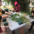 Devoción. Con la iniciativa se busca adornar el templo con miles de flores.