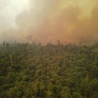 Archivo. Un incendio en el área municipal El Copaibo, en Santa Cruz