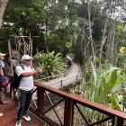 Samborondón. El manglar del Parque Histórico fue uno de los sitios intervenidos.
