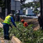 El Municipio de Guayaquil inició con la poda de varios puntos de vía a la costa.