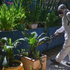 Un trabajador durante una jornada de fumigación al interior de una escuela en la región administrativa de Ceilândia, en Brasilia (Brasil).
