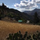 Campos de cultivo de trigo, en los Andes de Huancavelica.
