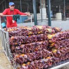 Comercio. En el mercado Caraguay uno de los comerciantes que vende cangrejos.