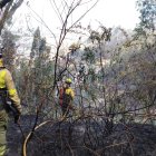 Hecho. Otro sector afectado por los incendios forestales es Chillogallo.