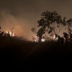 El incendio forestal en Quilanga, Loja, ha afectado varias hectáreas de vegetación y amenaza la vida de quienes habitan alrededor.