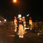 Cierre. Uno de los carriles de la avenida Las Monjas, está inhabilitado al tránsito por trabajos de áreas verdes.