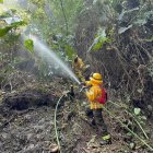 Bomberos de la zona centro del país trabajan en combatir el incendio forestal.