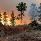 Los incendios forestales perjudican a dos cantones de la provincia de Azuay.