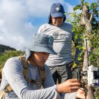 El personal de la fundación Jocotoco y del Parque Nacional Galápagos realiza monitoreo en la Isla Floreana.