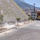 Proyecto. En el sector de San Juan, centro de Quito se colocaron los árboles
