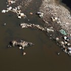 Fotografía aérea de un animal muerto, en Viacha (Bolivia).