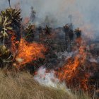 Fotografía de archivo de un incendio en la reserva ecológica ecuatoriana El Ángel, en la provincia de Carchi (Ecuador).