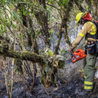 Los bomberos trabajan en primera línea para el control del incendio forestal.