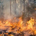 Incendios forestales en Quito