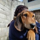 También se levantará información sobre estado reproductivo de los animales