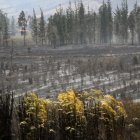 Fotografía donde se observa una zona afectada por un incendio en la población de Itulcachi, este viernes, a la afueras de Quito (Ecuador).