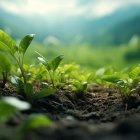 Syngenta presentó una estrategia integral que busca transformar la agricultura hacia un modelo más sostenible y resiliente.