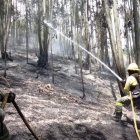 Los bomberos acudieron para sofocar el incendio forestal en el sector Mena del Hierro, norte de Quito.