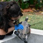 Funcionarios del Municipio de Guayaquil inspeccionan áreas de la ESPOL por denuncia de afectación a la fauna de la zona.