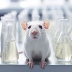 El método en desarrollo permite ver los órganos internos