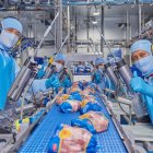 Empresa. La planta de Pronaca en Santo Domingo de de los Tsáchilas.