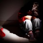 El proyecto también define la violencia sexual institucional y establece responsabilidades para las instituciones en la prevención y denuncia de estos delitos.