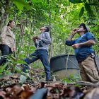 El ahorro se destinará a la conservación del Biocorredor amazónico