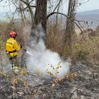 Las tareas continuaron este viernes 13 de septiembre.