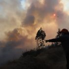 Dos instituciones financieras brindarán facilidades crediticias a los afectados.