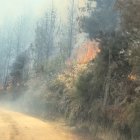 Afectaciones. La quema de las más de 4.500 hectáreas ha afectado a decenas de especies animales que han tenido que migrar. La vegetación también sufre.