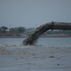 Proceso. EXPRESO constató que el sedimento extraído llega a Durán.