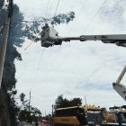 Un incidente con un árbol causó un corte de luz en seis barrios del norte de Quito.