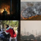 Situación. Así se suscitan las incidencias del fuego en zonas forestales en cuatro países de la región.