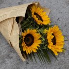 La icónica tendencia de regalar flores amarillas el 21 de Septiembre.